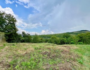 Terrain à vendre dans Suceagu