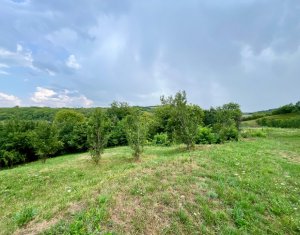 Terrain à vendre dans Suceagu