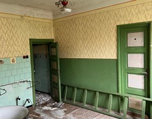 Maison 3 chambres à vendre dans Cluj-napoca, zone Iris