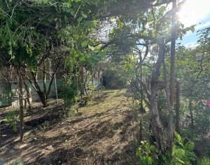 Maison 3 chambres à vendre dans Cluj-napoca, zone Iris