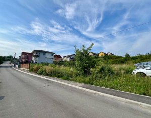 Terrain à vendre dans Dezmir