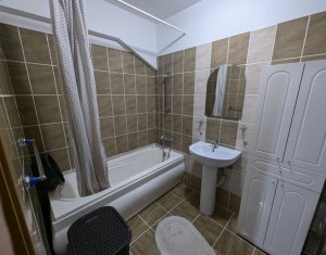 Appartement 2 chambres à louer dans Cluj-napoca, zone Iris