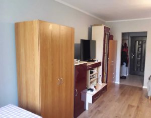 Appartement 1 chambres à louer dans Cluj-napoca, zone Gheorgheni