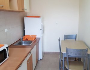 Appartement 1 chambres à louer dans Cluj-napoca, zone Plopilor