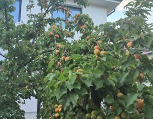 Maison 5 chambres à vendre dans Salicea