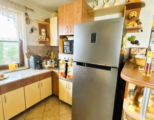 Maison 4 chambres à vendre dans Cluj-napoca, zone Manastur