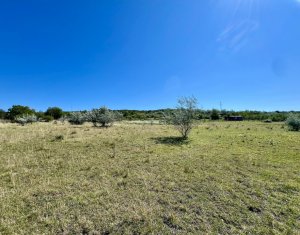 Terrain à vendre dans Cluj-napoca