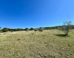 Terrain à vendre dans Cluj-napoca