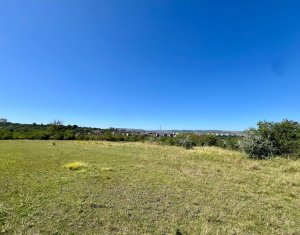 Terrain à vendre dans Cluj-napoca