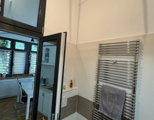 Appartement 1 chambres à louer dans Cluj-napoca, zone Centru