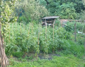 Maison 4 chambres à vendre dans Cluj-napoca, zone Zorilor