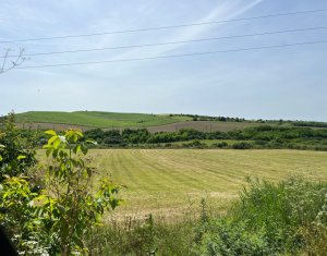 Teren Cojocna, sat Cara 