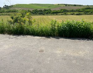 Teren Cojocna, sat Cara 