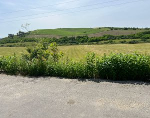 Teren Cojocna, sat Cara 