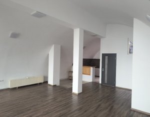 Maison 8 chambres à louer dans Cluj-napoca, zone Grigorescu