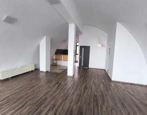 Maison 8 chambres à louer dans Cluj-napoca, zone Grigorescu