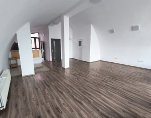 Maison 8 chambres à louer dans Cluj-napoca, zone Grigorescu