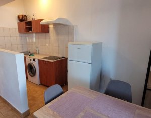 Appartement 1 chambres à louer dans Cluj-napoca, zone Manastur