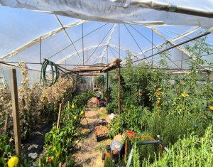 Maison 5 chambres à vendre dans Chinteni