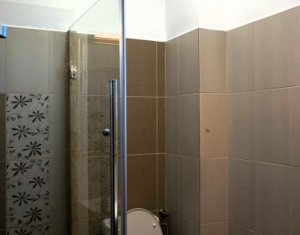 Maison 4 chambres à louer dans Cluj-napoca, zone Gheorgheni