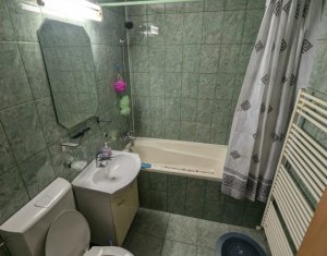 Appartement 3 chambres à louer dans Cluj-napoca, zone Intre Lacuri