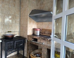 Casa 9 cam., 5 intrari separate, 260 mp utili, Dambul Rotund, P-ta K. Liebknecht