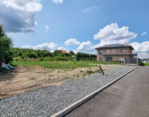 Terrain à vendre dans Cluj-napoca, zone Becas