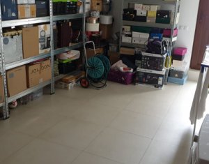 Maison 6 chambres à louer dans Cluj-napoca, zone Europa