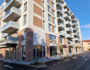 Lakás 2 szobák kiadó on Cluj-napoca, Zóna Manastur