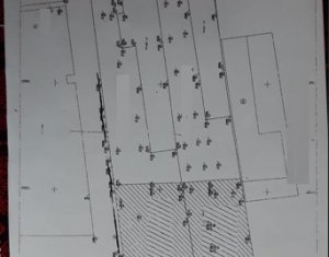 , 1450m2 in Cluj-napoca, zone Gheorgheni