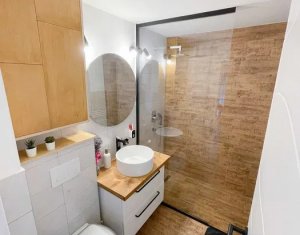 Appartement 2 chambres à vendre dans Cluj-napoca, zone Intre Lacuri