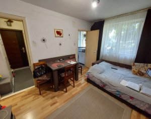 , 33m2 dans Cluj-napoca, zone Gheorgheni