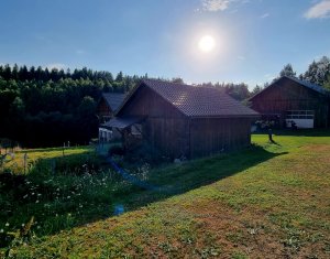 Casa de Poveste in Rasca, Cluj - Refugiul Ideal pentru  Relaxare