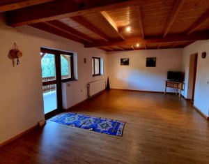 Casa de Poveste in Rasca, Cluj - Refugiul Ideal pentru  Relaxare