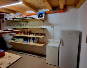 Casa de Poveste in Rasca, Cluj - Refugiul Ideal pentru  Relaxare