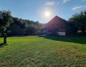 Casa de Poveste in Rasca, Cluj - Refugiul Ideal pentru  Relaxare