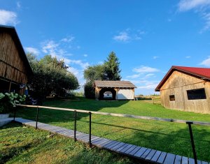 Casa de Poveste in Rasca, Cluj - Refugiul Ideal pentru  Relaxare