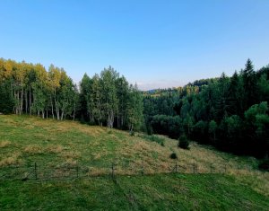 Casa de Poveste in Rasca, Cluj - Refugiul Ideal pentru  Relaxare