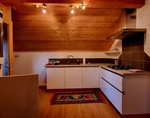 Casa de Poveste in Rasca, Cluj - Refugiul Ideal pentru  Relaxare