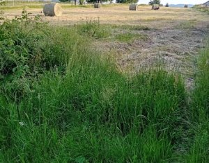 Terrain à vendre dans Balcesti (belis), zone Centru