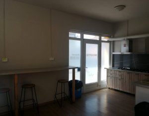 Pensiune de vanzare, 12 camere, zona Hasdeu