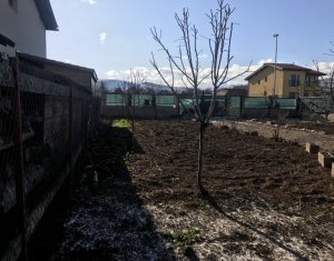 Ház 3 szobák eladó on Luna De Sus