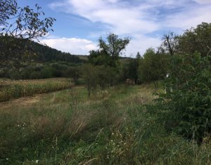 Ház 3 szobák eladó on Vlaha