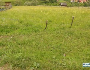 , 1900m2 dans Floresti