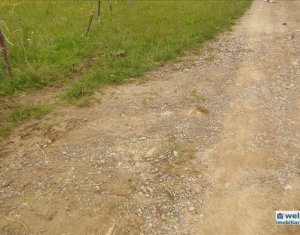 Terrain à vendre dans Floresti