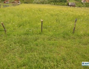 Terrain à vendre dans Floresti