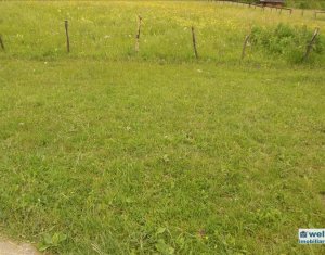 Terrain à vendre dans Floresti