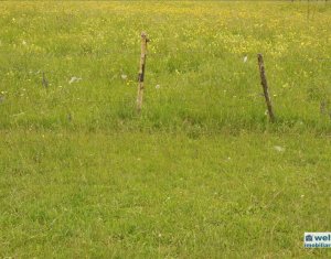 Terrain à vendre dans Floresti