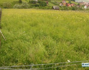 Terrain à vendre dans Floresti