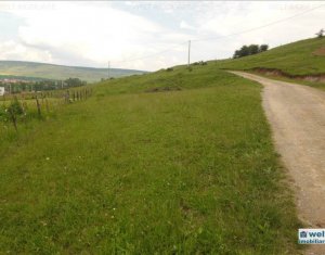 Terrain à vendre dans Floresti